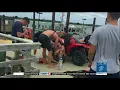 Worst pain ever Surfer sent to ER after Box Jellyfish sting