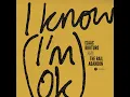 I Know (I'm OK) (feat. Samantha Whates)