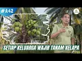 Lagu Setiap Keluarga Wajib Tanam Kelapa, ini Alasannya