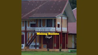 Download Malang Bucinto MP3
