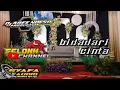 DJ BIDADARI CINTA || SYAFA AUDIO || VIRALTIKTOK || AREK NDESO PRODUCTION OFFICIAL
