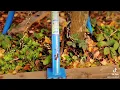 NW Quik Pull The premier post pulling and landscaping tool
