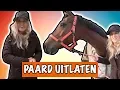 Lagu WAT KUN JE ALLEMAAL MET JE PAARD DOEN? | PaardenpraatTV