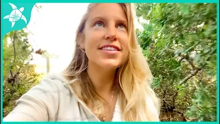 Sailing to Beaufort, NC and Wrightsville Beach! Wild horses!  Scary story you never heard…