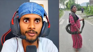 Aisa Scene Pehle Kabhi Nahi Dekha! king Cobra Pakad Liya 😱
