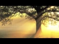 Download Lagu Mantra for Compassion and Healing - Guru Ram Das Chant by Mirabai Ceiba