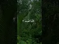 Download Lagu Surah-Al-Ikhlas With calming nature and rain sound!#shorts #islam #muslim #quran #allah #sunnah #dua