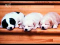 荒漠甘泉5月10日