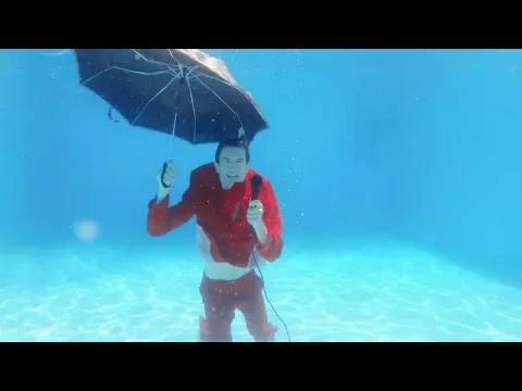 Gourmet Potato Rolls • 80gr