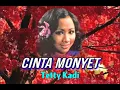 Download Lagu CINTA MONYET - Tetty Kadi