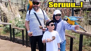 Liburan Seru di Lembang Park and Zoo