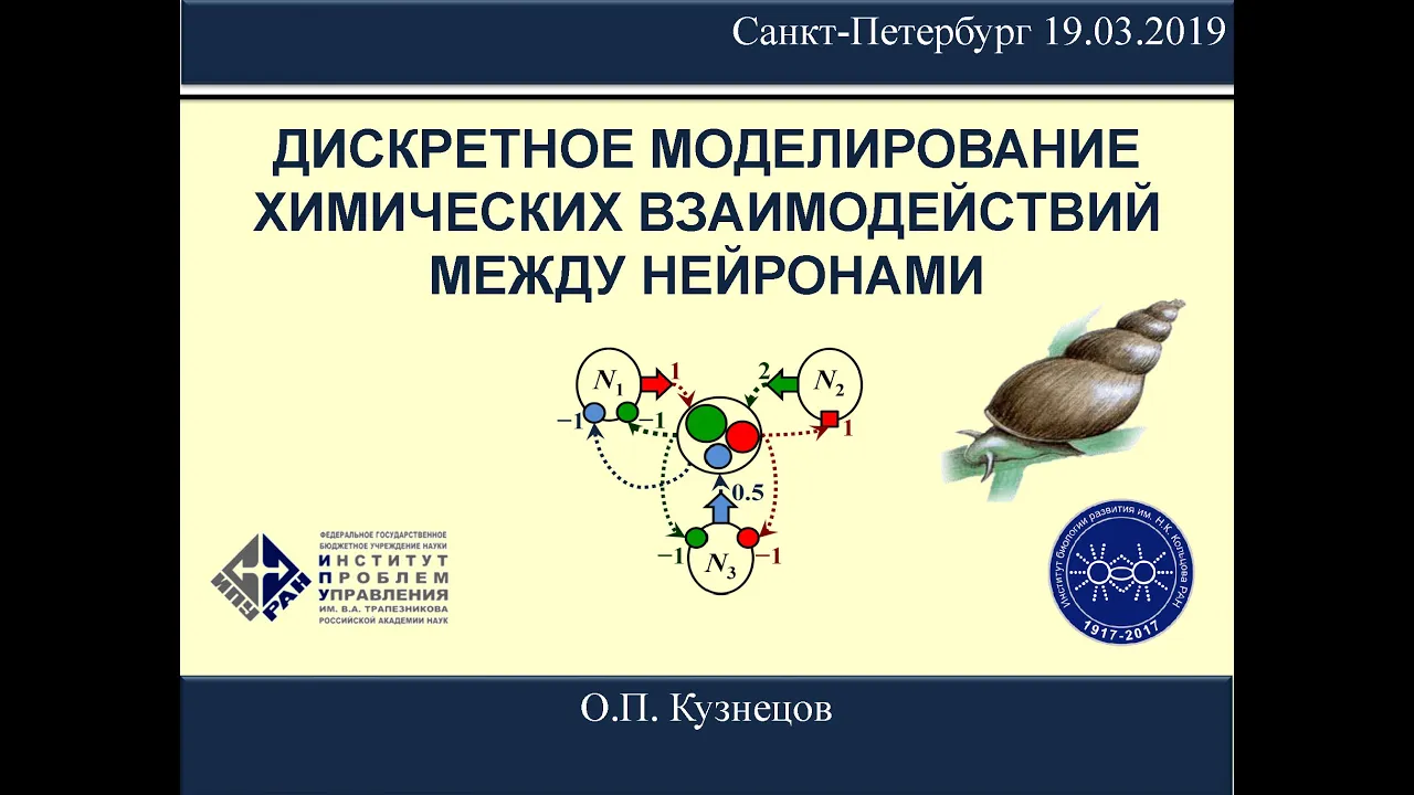 О.П.Кузнецов. Дискретное моделирование химических взаимодействий между нейронами