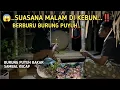 Lagu BERBURU BURUNG PUYUH | Makan Burung Puyuh Bakar dan Sambal Kecap