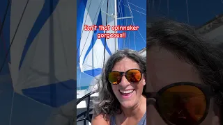 Yesterday sucked, but today we’re flying the spinnaker for the first time! #spinnaker #catamaran