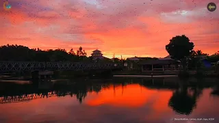 qori k h muammar za yang sering terdengar di mesjid sebelum azan magrib