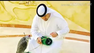 يامبرقع الطير   دندنها