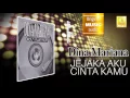 Dina Mariana - Jejaka Aku Cinta Kamu (Official Audio)