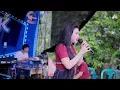 Download Lagu ILALANG - SYAHLA AYU - BLMUSIK LIVE IN CIOMAS