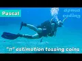 asmr coding PI value estimation in Pascal