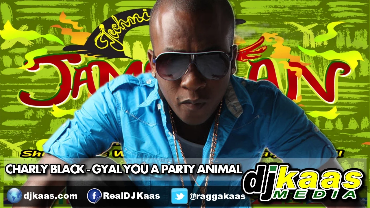 Charly Black - Gyal You A Party Animal [Explicit]
