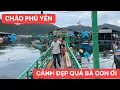 Download Lagu Đại gia đình đến Vùng đất Phú Yên ngất ngây nhưng cảnh đẹp