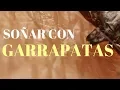 Sonar con GARRAPATAS