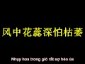 Lagu Yêu Anh Một Vạn Năm - Lưu Tử Linh [爱你一万年 - 刘紫玲]