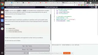 Lesson 8 Basic JavaScript Understanding Case Sensitivity in Variables