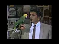 Michael Landon - Hullabaloo 1965 Only Parts With Michael