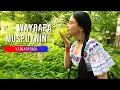 Download Lagu WAYRAPA MUSPUYNIN - Alborada | Yawarpuma | Native Song | Cherokee Flute | Relaxing Music