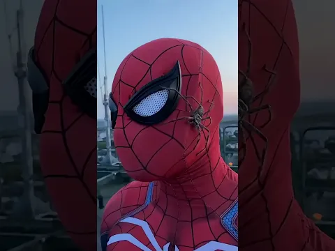 😱 Spider-Man’s Secret Spider Friend! 🕷️❤️ #shortvideo