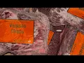 Picking up this year s deer meat