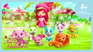 يوم بيري المحظوظ Strawberry Shortcake عرض الرسوم المتحركة للأطفال WildBrain عربي  يوم بيري المحظوظ Strawberry Shortcake عرض الرسوم المتحركة للأطفال WildBrain عربي