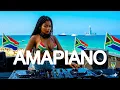 Lagu TOP 5 HOT AMAPIANO Songs 2025| PARTY MIX 2025 Trending Hot Hits (Davido,Asake,Wizkid,Ayra starr)