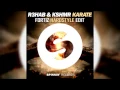 Lagu R3HAB \u0026 KSHMR - Karate (Fortiz Hardstyle Edit)