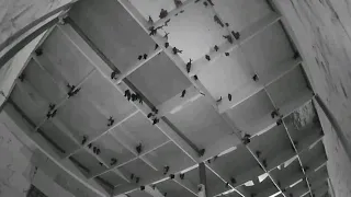 suara walet thai 3 mp3