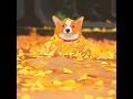 Wataru Fujiwara -  Fall Leaves