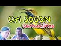 Lagu Ciri-ciri Sogok Ontong Berkualitas Siap Gantang