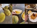 Download Lagu Dato’rizalman,Cantik nya Durian Tok RI🤍