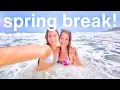 spring break vlog friends beach fun