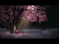 1 Hour of TaiGekTou peaceful music