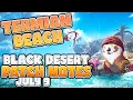 Termian Beach Grand Opening 100 Hot Time More Agris BDO Patch Notes Rundown - July 9th