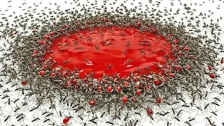 1,000 Mosquitoes vs. Blood