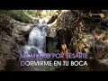 KARAOKE  Me Muero - La Quinta Estación