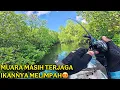 Download Lagu MUARA MASIH ALAMI HASILNYA MELIMPAH ..!!! CASTING MJ KERAPU DI MUARA SUNGAI MANTAP
