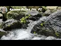 Download Lagu Air Mengalir 10 || Relaxation Sound || Relaksasi Terapi