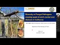 Apple Branch Canker Webinar Recording