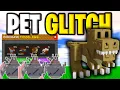 Download Lagu How To Get THE T-REX PET EARLY In GROW A GARDEN! (EZ Billions Glitch) Roblox Grow a Garden
