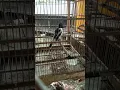 Masteran Burung Full Emosi Burung Jagal Papua dan Cucak Emas