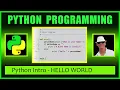 PyScripter Settings and Python Hello World Program - Python Beginners Tutorial